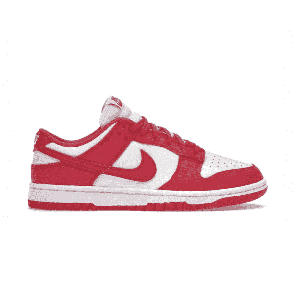 Nike Dunk Low Archeo Pink Women's Lifestyle Sneakers